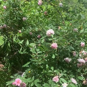 Meet your Posher, Jan